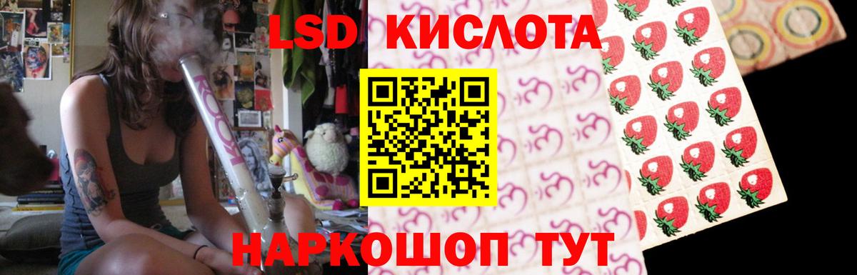 Галлюциногенные грибы Иркутск