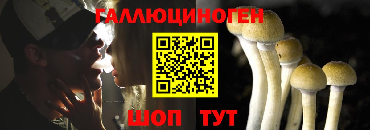 Псилоцибиновые грибы Psilocybine cubensis  Вход с VPN  Псилоцибиновые грибы Psilocybe  Иркутск 